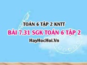 Bài 7.31 SGK Toán 6 tập 2 Kết nối tri thức